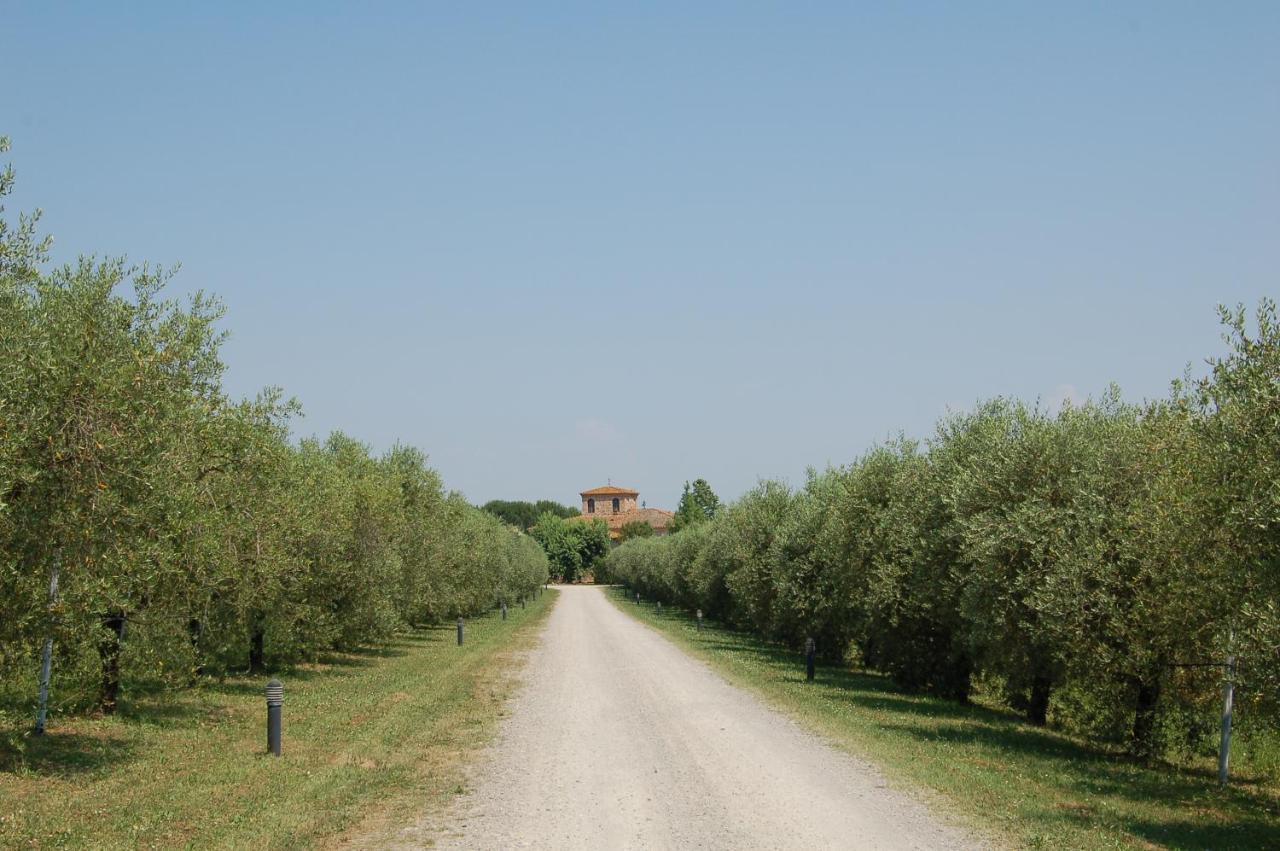 Agriturismo Il Selvino Terricciola Exterior foto